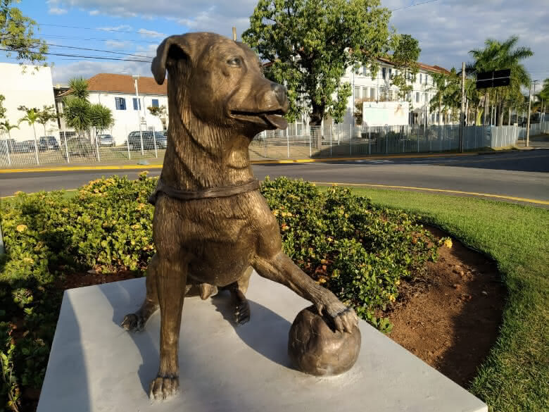 estátua do vira-lata zé