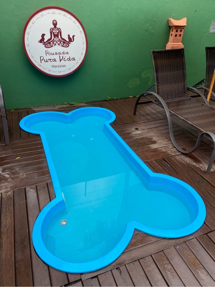 piscina para pets da pousada